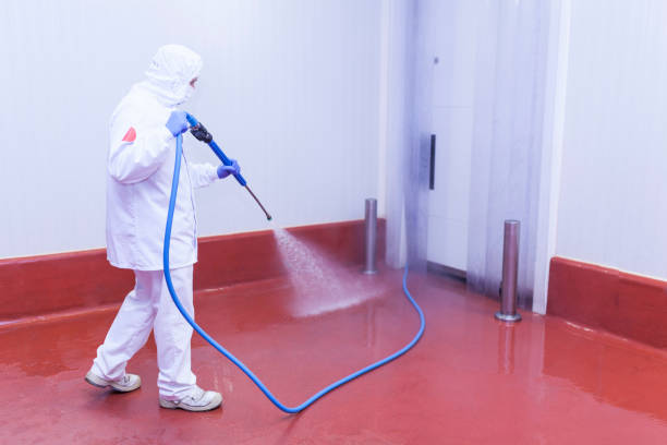 Boat and Dock Cleaning in Montvale, NJ